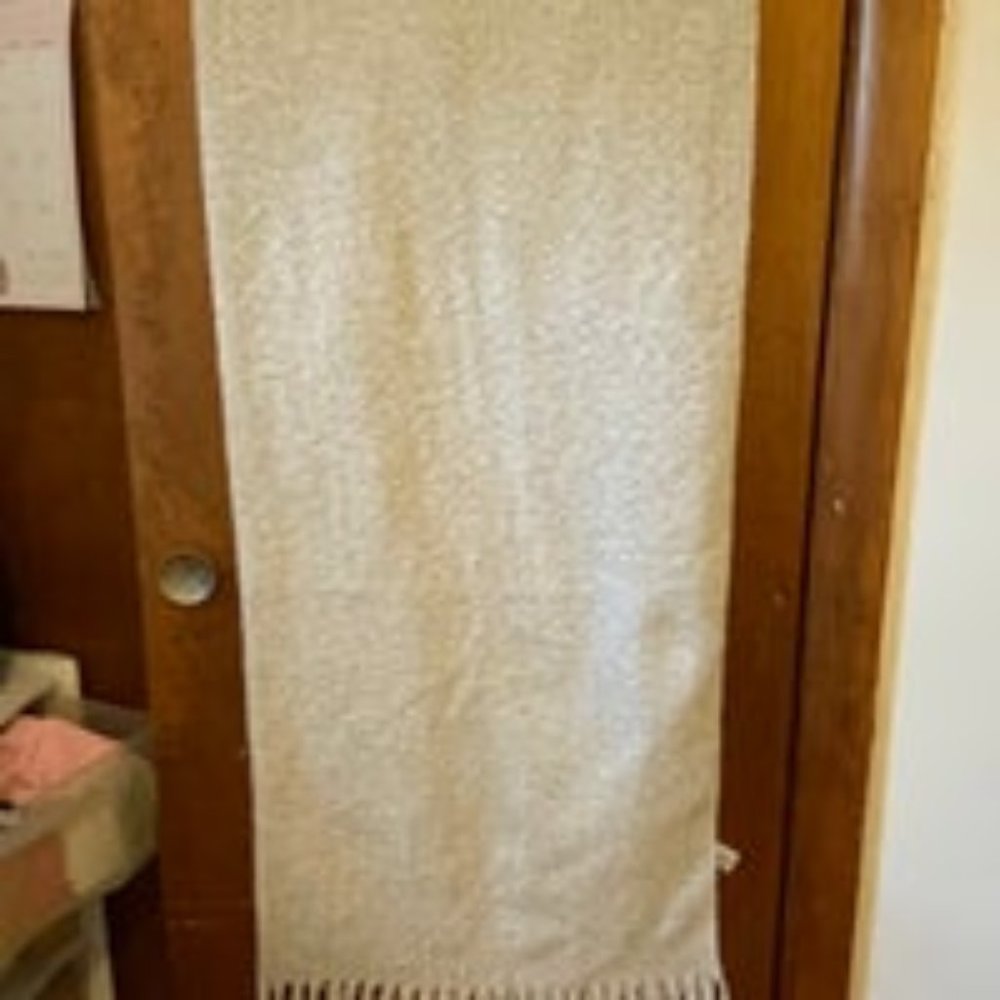 American Eagle Outfitters soft long thick scarf